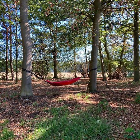 Zum Heuerling Ferienwohung Im Alten Stall Mit Sauna Versmold Dış mekan fotoğraf