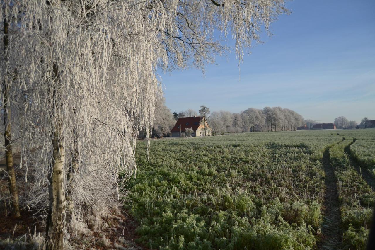 Zum Heuerling Ferienwohung Im Alten Stall Mit Sauna Versmold Dış mekan fotoğraf